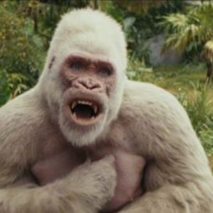 Meet your Posher, Brad